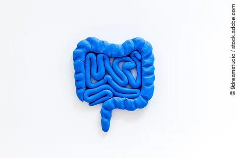 Darm aus blauer Knete geformt auf weißem Hintergrund.