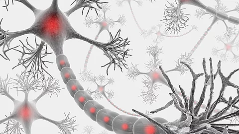 Neurons (The Brainstorm) Illustration: Netzwerk von Nervenzellen