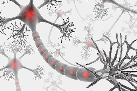 Illustration: Netzwerk von Nervenzellen