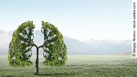 Baum mit Blättern in Form einer Lunge