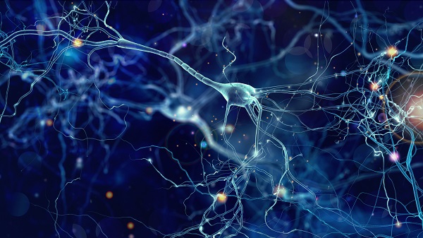 Illustrationen von Neuronen-Verbindungen im Gehirn.