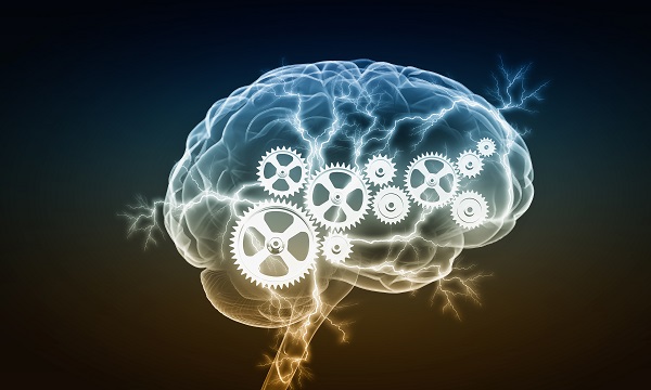 Illustration: Mechanismen im menschlichen Gehirn, Zahrädchen