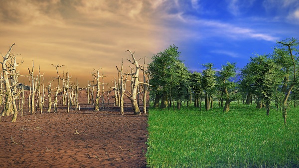 Klimawandel, globale Erwärmung, Wüste und grüne Landschaft