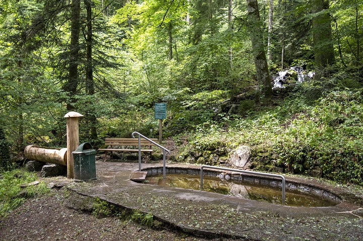 Kneipp, Kneippbecken, Wald, Wassertreten