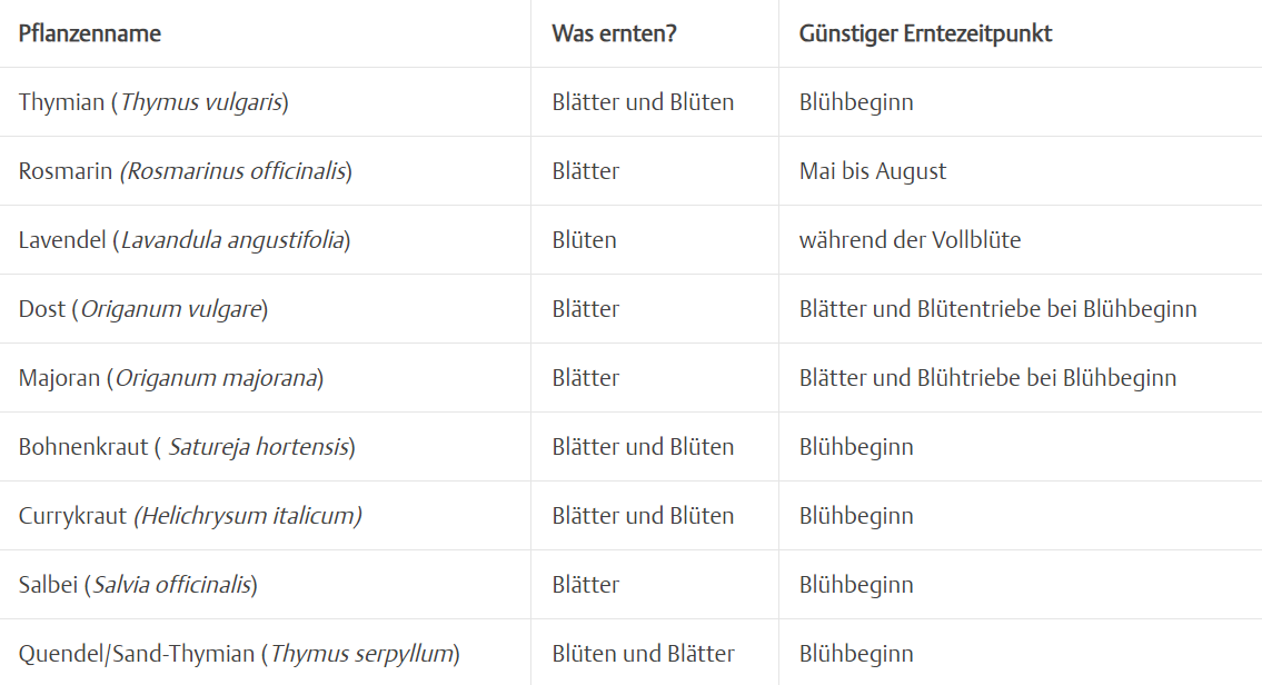 Tabelle mit Kräutern für Kräutersalz